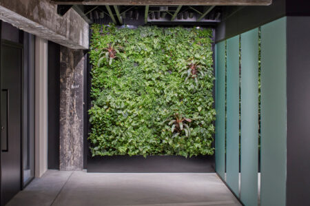 A green wall in a modern office building, adding a touch of nature and freshness to the workspace.