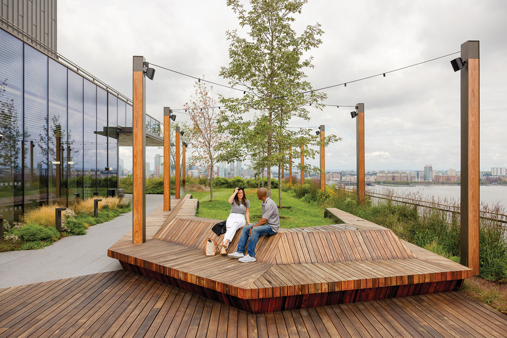 A rooftop with greenery and places to sit.