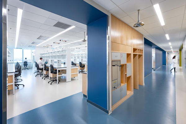 A laboratory featuring blue walls and blue flooring, creating a cohesive and calming environment for scientific work.