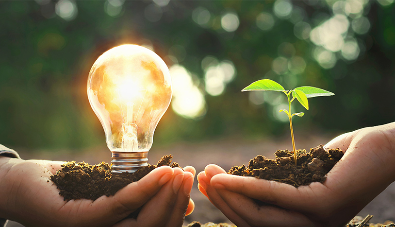 Two hands coming together with a bulb and a tree