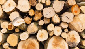 A stack of tree trunks