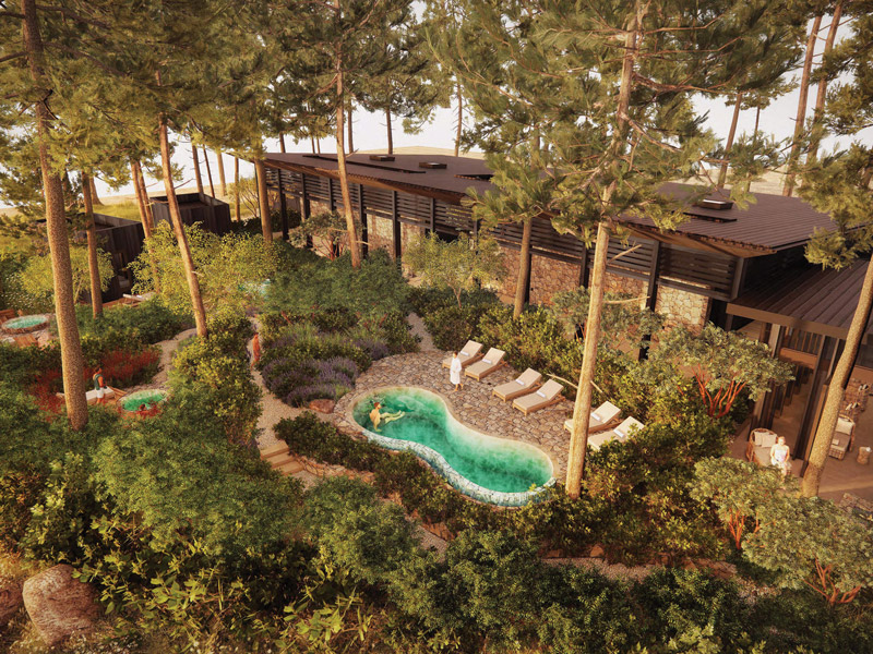 Architectural rendering of a landscaped courtyard with a curved outdoor pool, lounge chairs, tall pine trees, and a low stone-and-wood building.