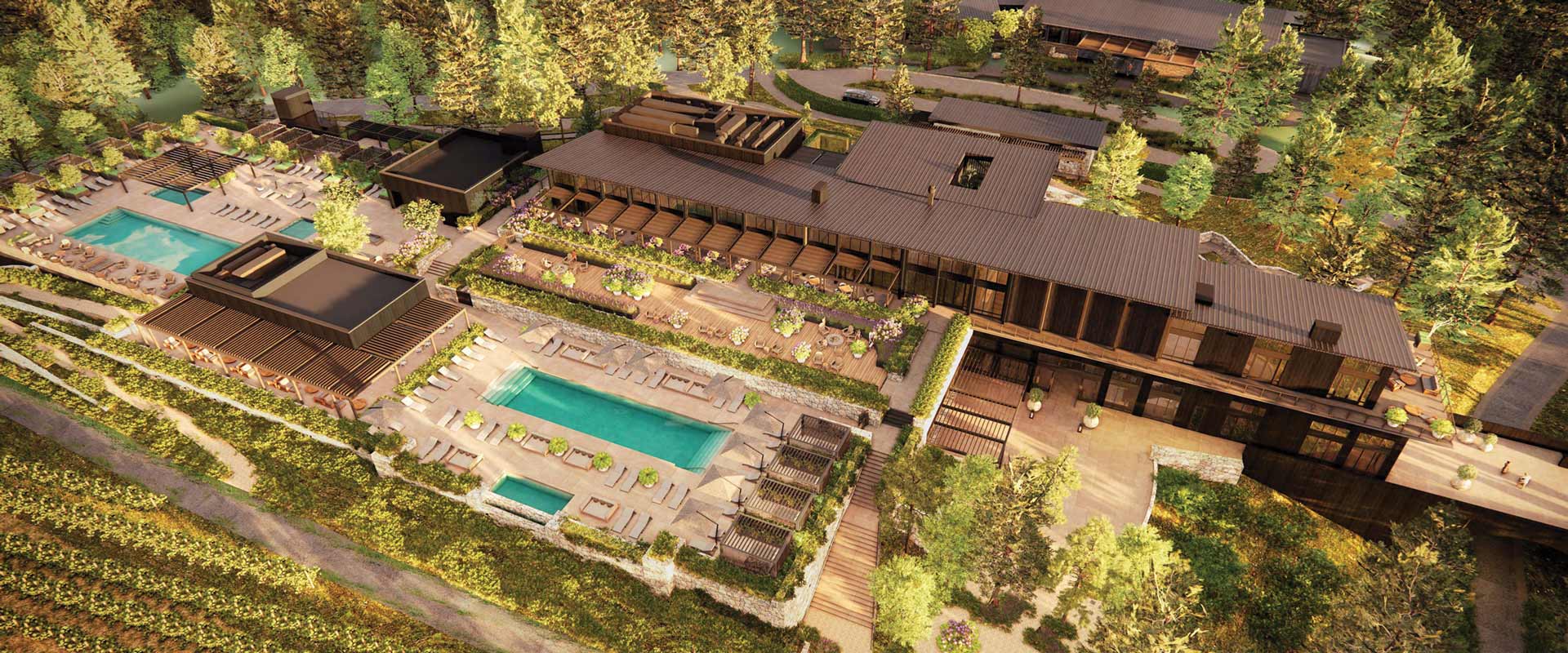 Aerial architectural rendering of a wooded resort complex with two outdoor pools, lounge areas, landscaped terraces, and connected low-rise buildings.